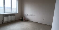 Дом от застройщика