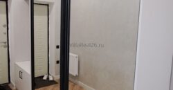 Коттедж с ремонтом, земли 4сот.