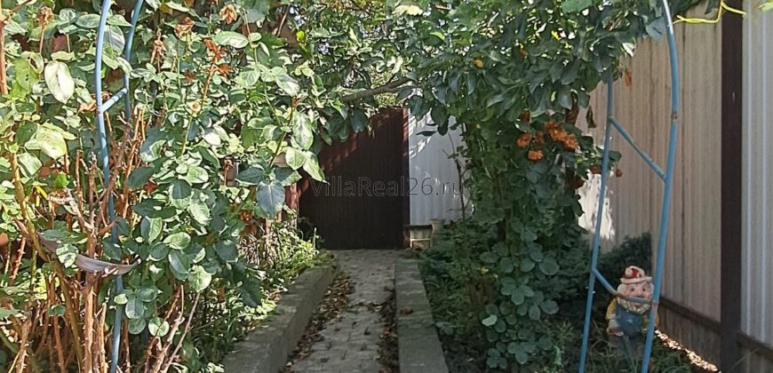 ДОМ