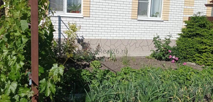 Ул. Широкая