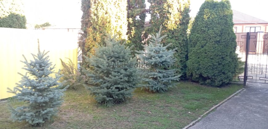 Михайловск, пер. Клиновый