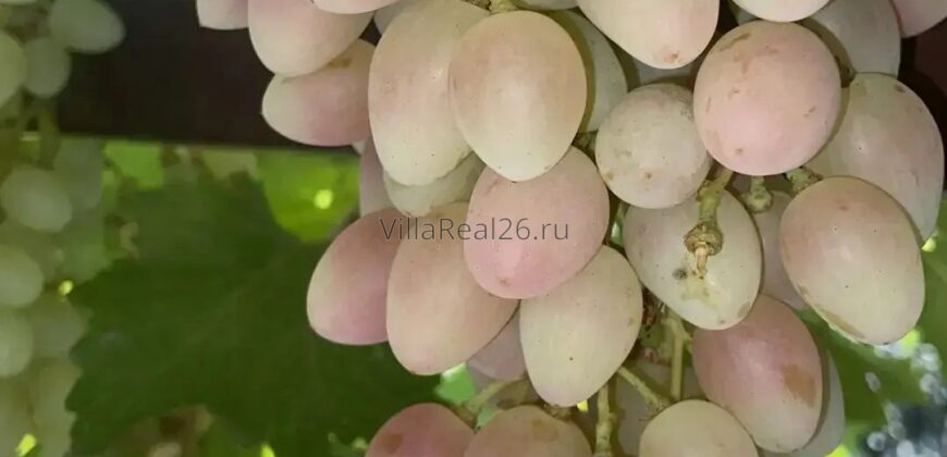 Уютный флетхаус с хорошим ремонтом в районе Гармония