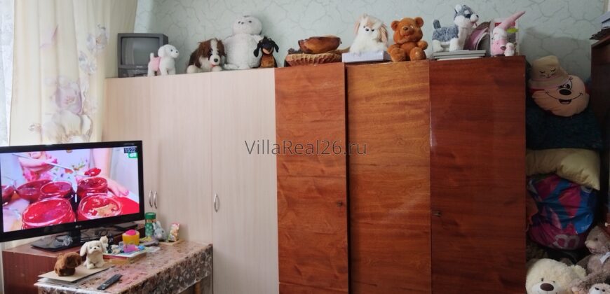 Домик в центре с. Пелагиада