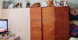 Домик в центре с. Пелагиада
