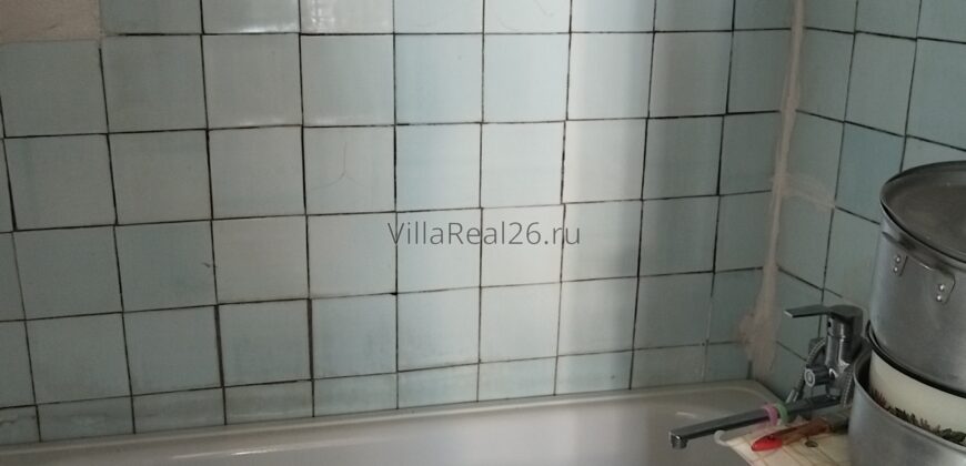 Дом с большим участком земли