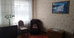 Дом с большим участком земли