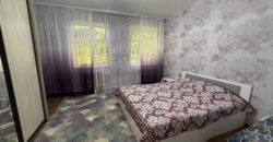 Дом с большим земельным участком