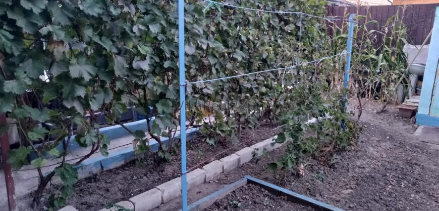 Коттедж от застройщика с ремонтом, ПЕР СТАРТОВЫЙ